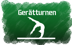 Geräteturnen icon