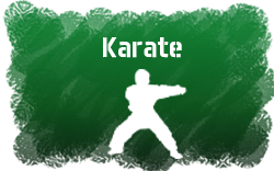 Karate icon